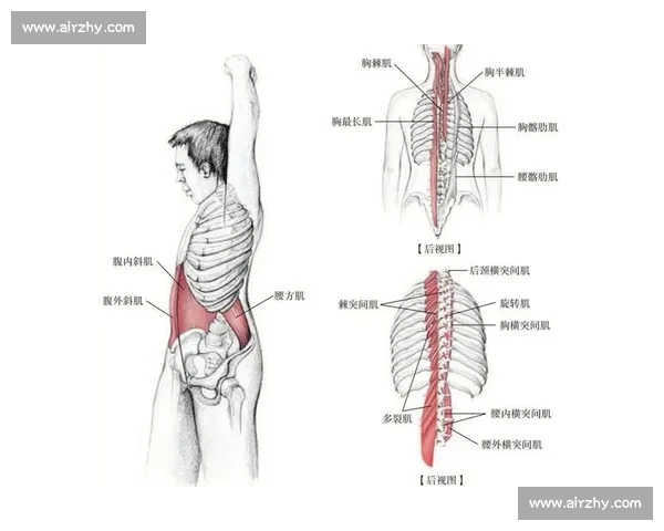 科学拉伸训练方法全面解析助力提高灵活性与运动表现